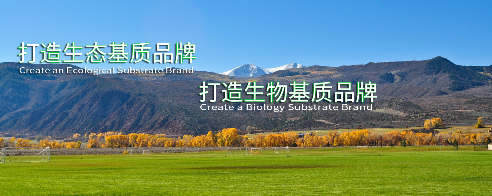 中国·永利集团(304am-VIP认证)官网-OfficialPlatform