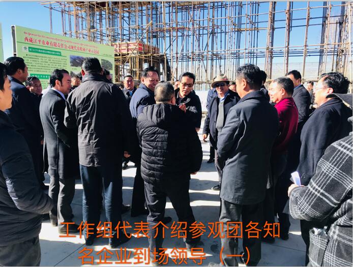 中国·永利集团(304am-VIP认证)官网-OfficialPlatform