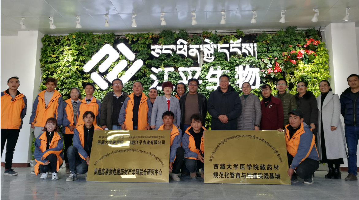 中国·永利集团(304am-VIP认证)官网-OfficialPlatform