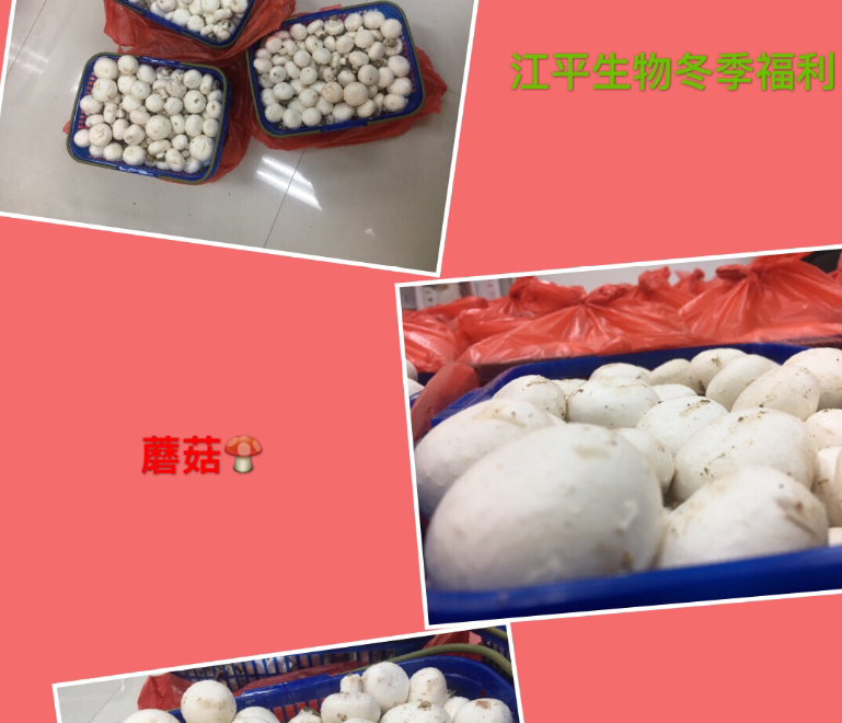 中国·永利集团(304am-VIP认证)官网-OfficialPlatform
