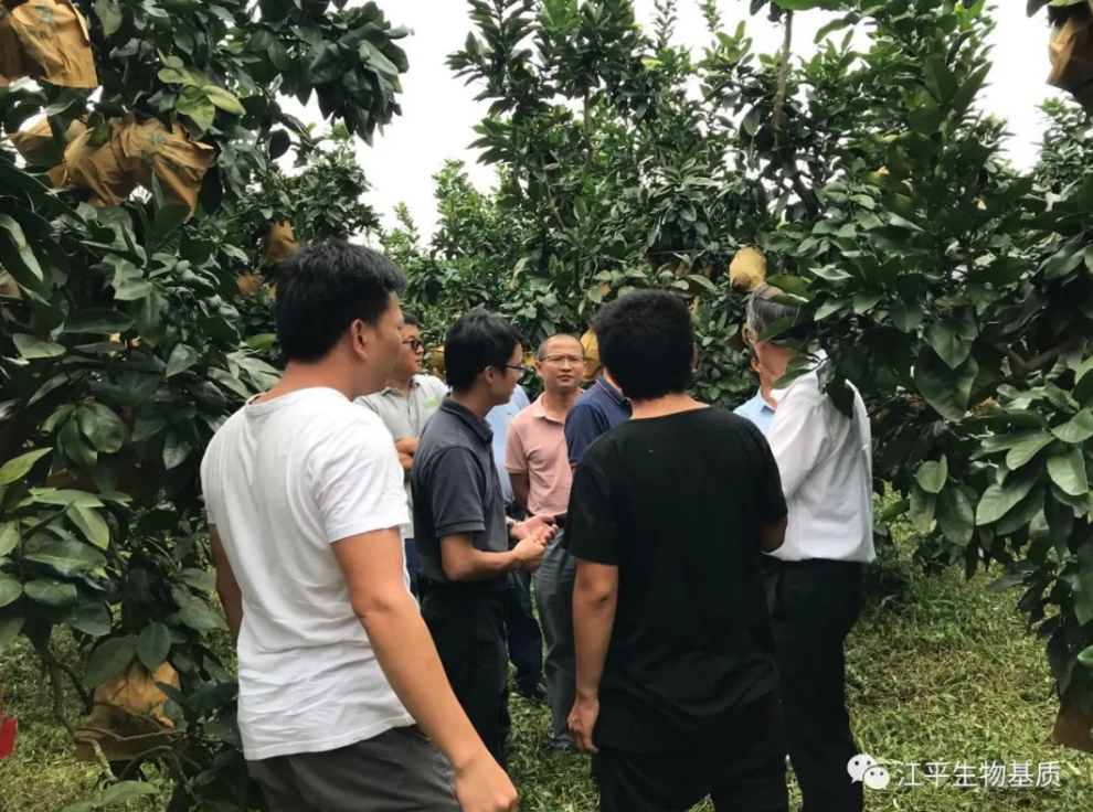 5f72850ea947b.png 图片.png