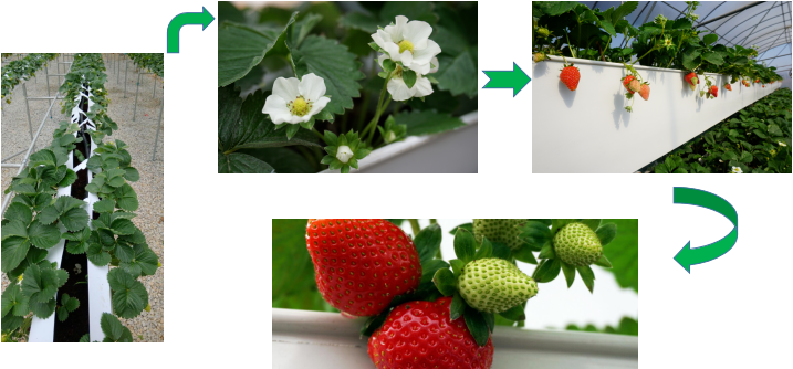 5f92a17aa8f1e.png 图片.png