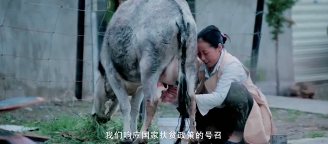 5fad03ec310ed.png 图片.png