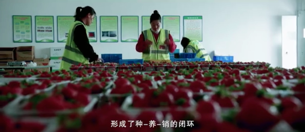 5fad046ad9710.png 图片.png