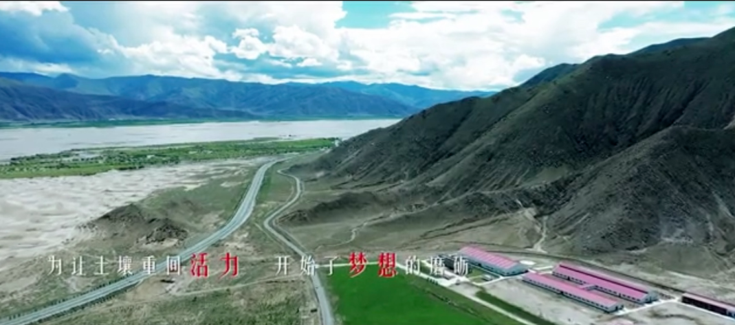5fad055cac5b4.png 图片.png