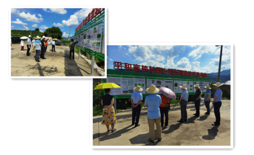 中国·永利集团(304am-VIP认证)官网-OfficialPlatform