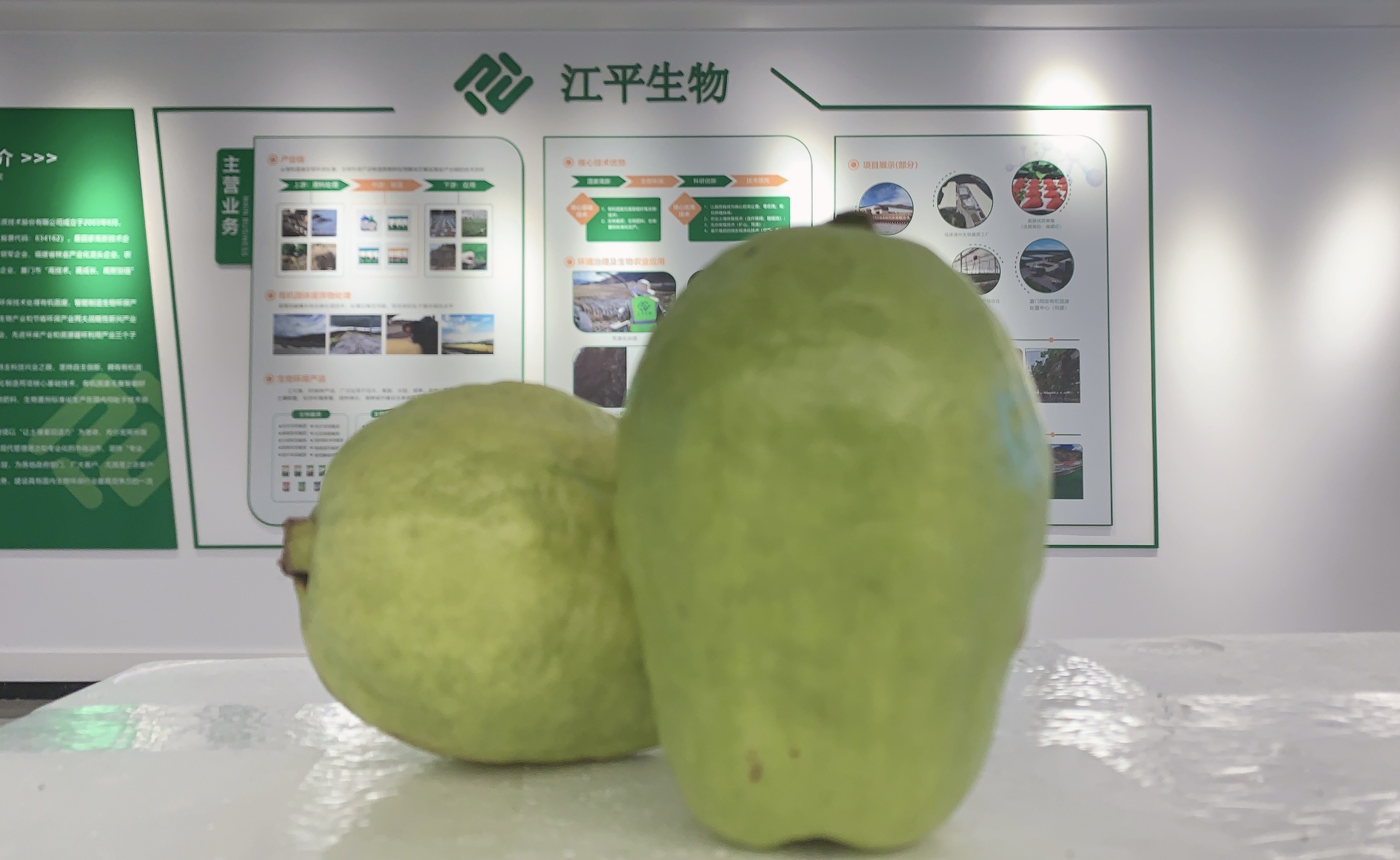 中国·永利集团(304am-VIP认证)官网-OfficialPlatform