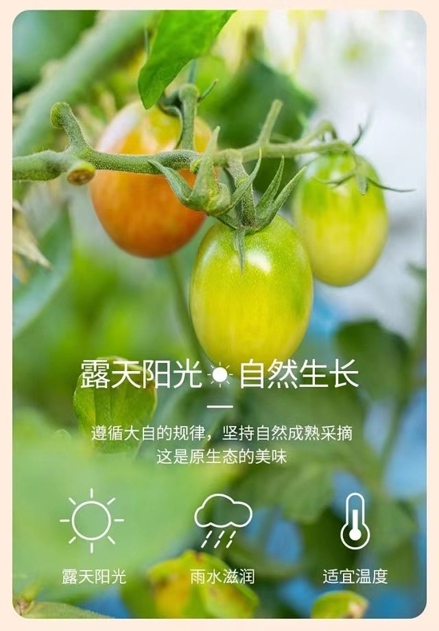 中国·永利集团(304am-VIP认证)官网-OfficialPlatform