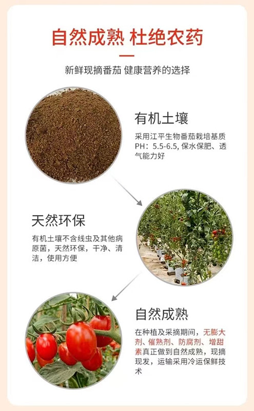 中国·永利集团(304am-VIP认证)官网-OfficialPlatform
