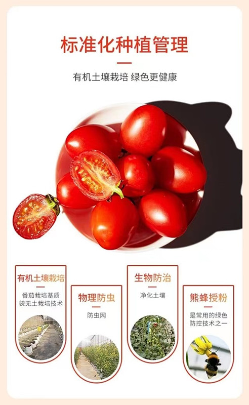 中国·永利集团(304am-VIP认证)官网-OfficialPlatform