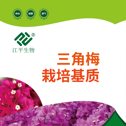 中国·永利集团(304am-VIP认证)官网-OfficialPlatform
