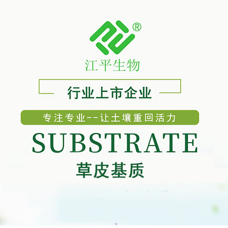 中国·永利集团(304am-VIP认证)官网-OfficialPlatform
