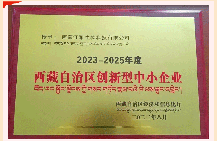 中国·永利集团(304am-VIP认证)官网-OfficialPlatform